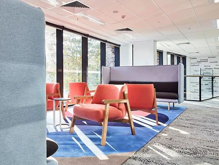 澳大利亚 TBS 慈善总部,彩虹色调打造活力空间-33