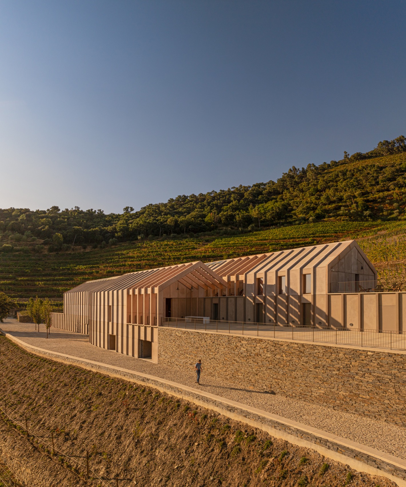 Quinta de Adorigo酒庄丨葡萄牙杜罗丨Atelier Sergio Rebelo等多家团队及个人-19