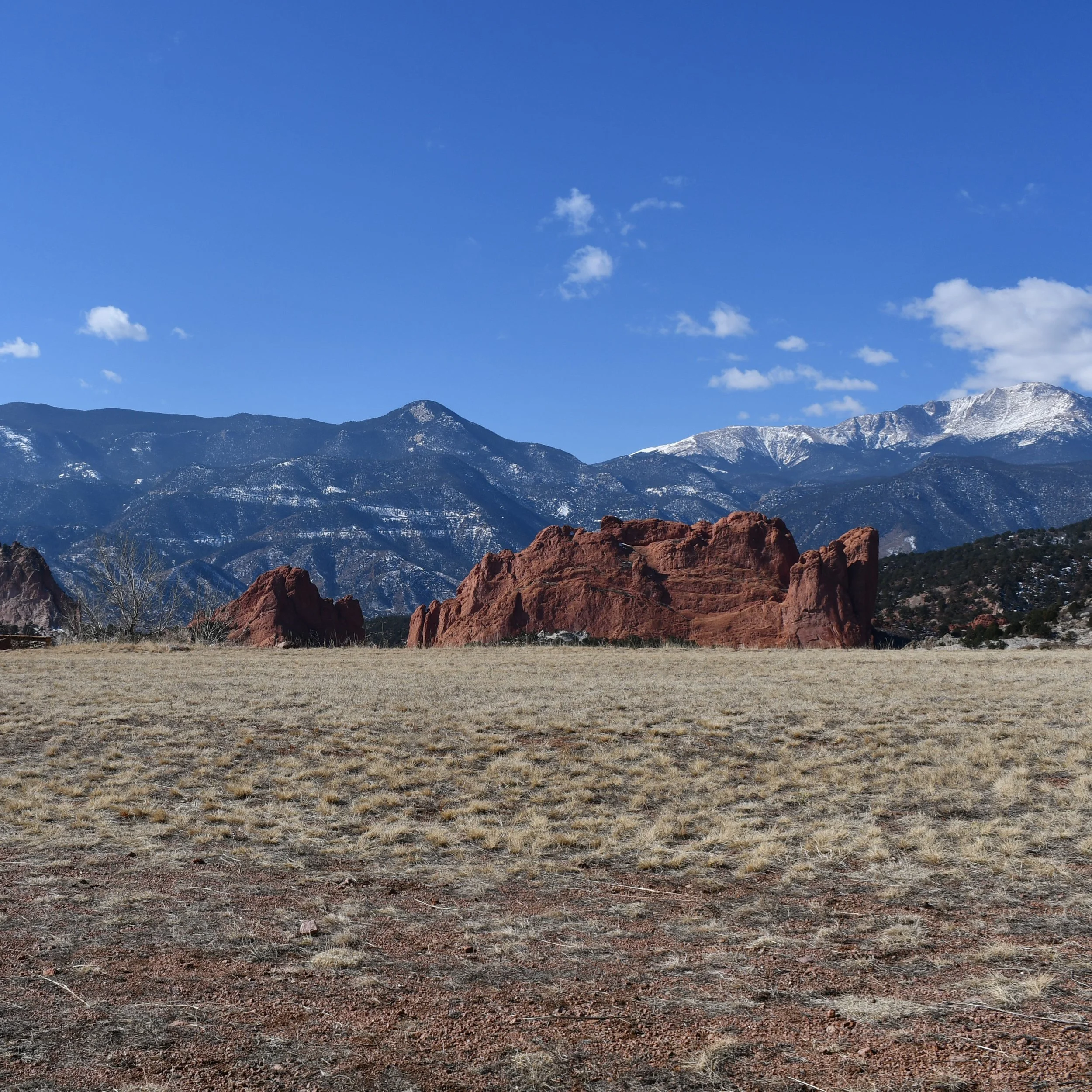 丨United StatesColorado Springs丨Tomecek Studio Architecture-14