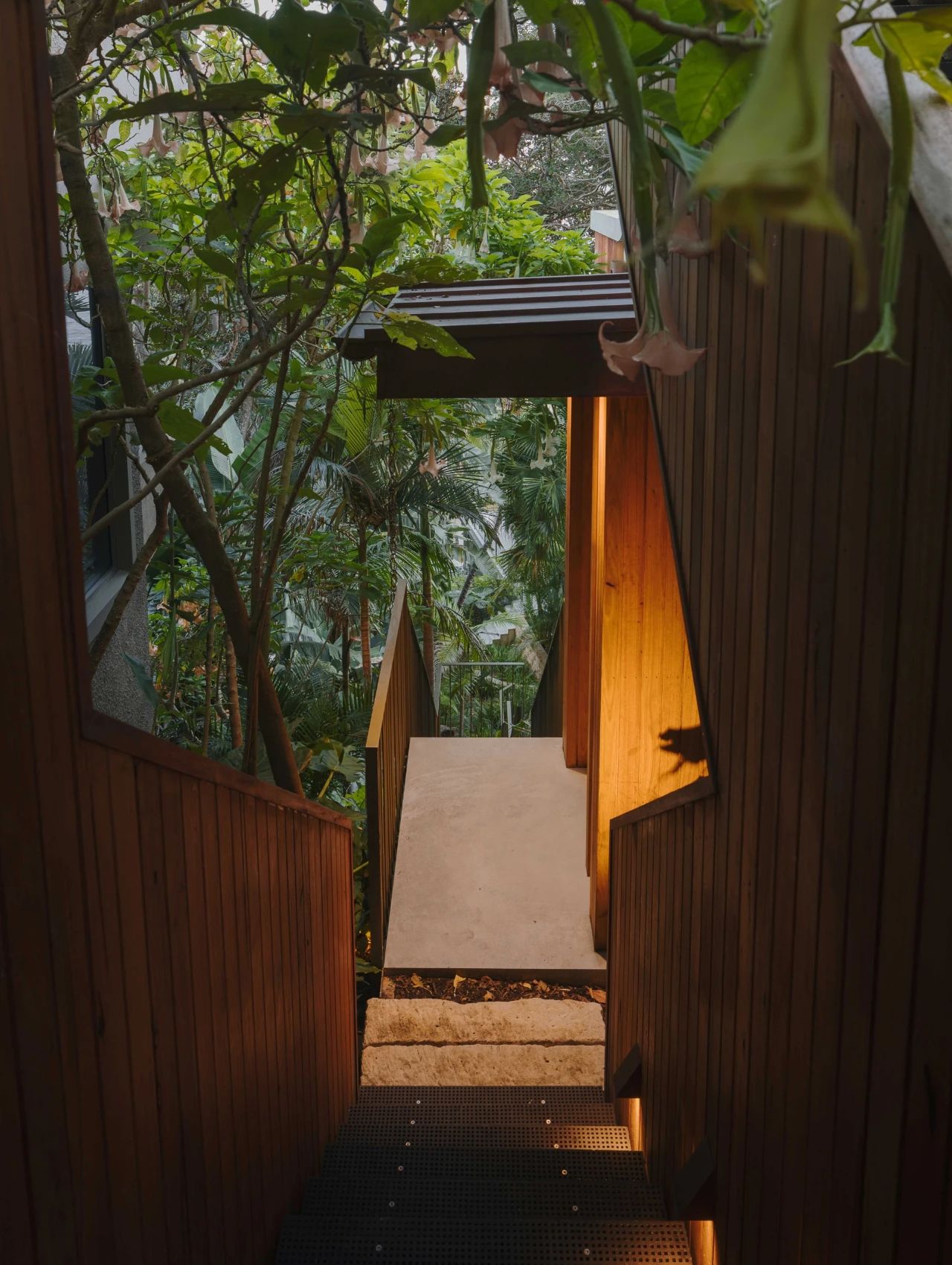 Northern Lights 海滨景致丨澳大利亚悉尼丨Cadence  Co-50