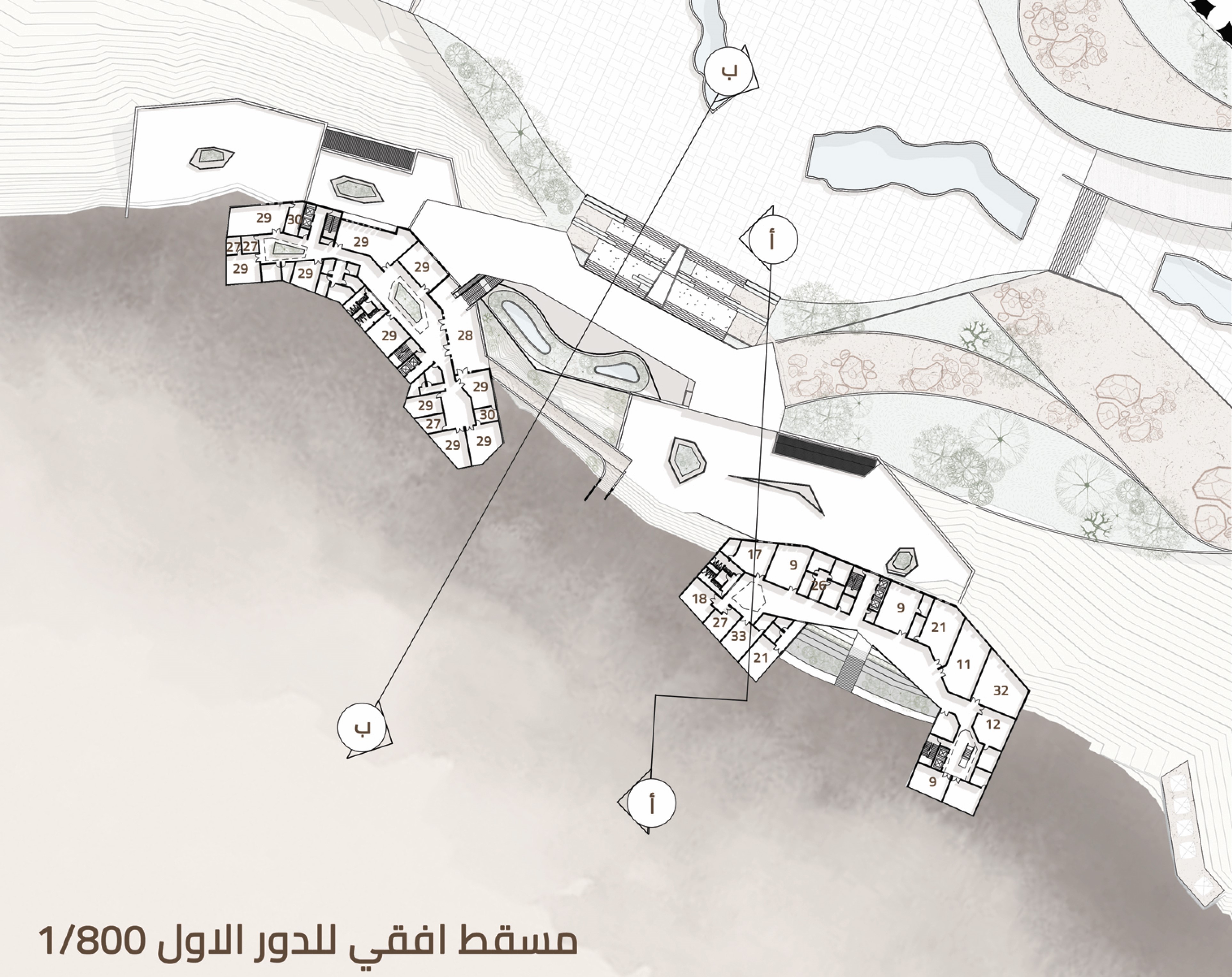 2025 年毕业设计丨Egypt-29