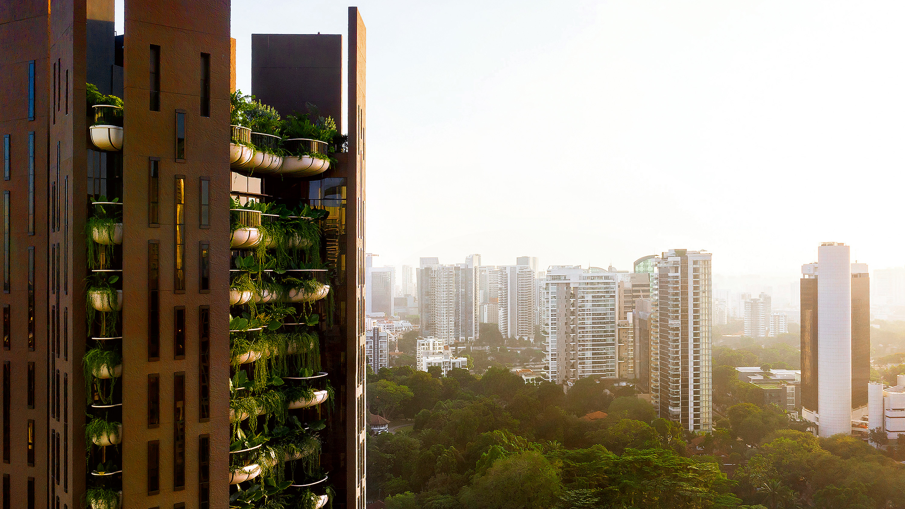 新加坡 Eden 公寓 | 自然灵感与都市生活的完美融合-0