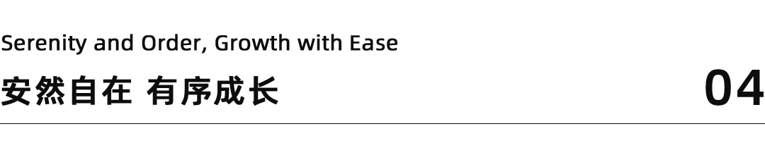 深圳传麒山SACUCCI案例丨中国深圳-35