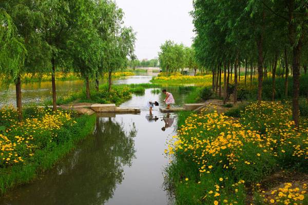 Sanlihe Greenway（迁安三里河绿道）丨中国河北丨Turenscape-13
