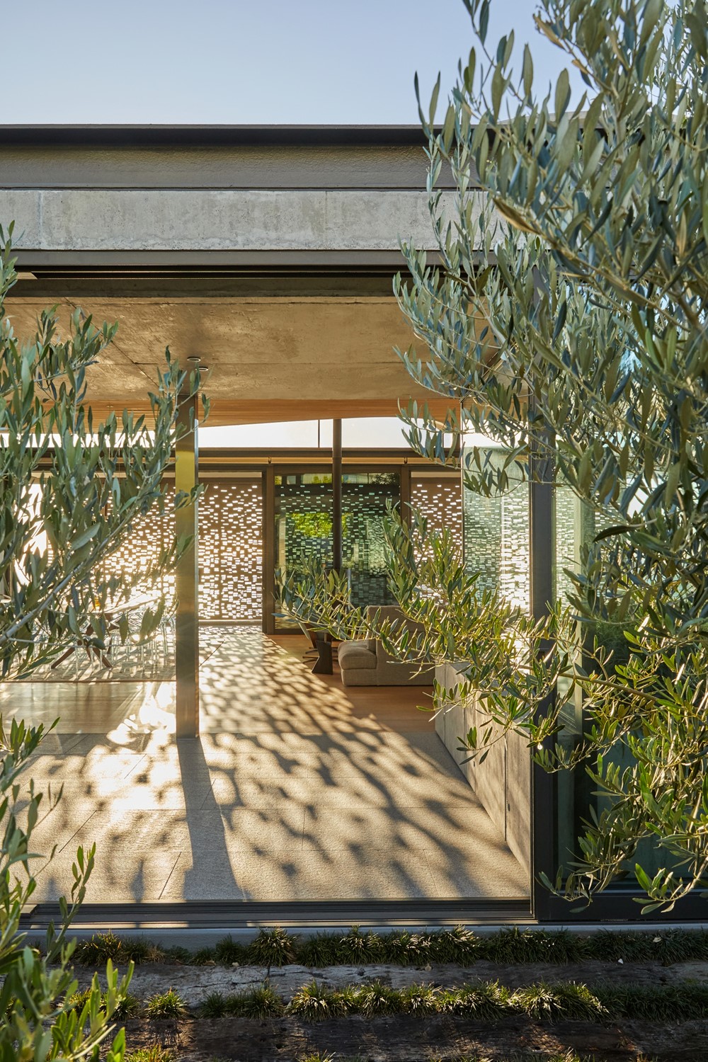 丨南非开普敦-34