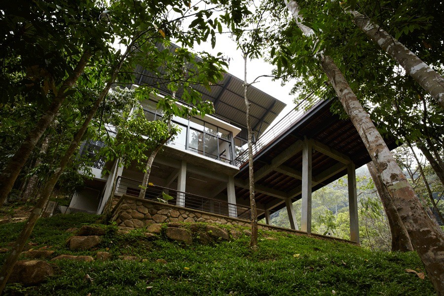 Дом с панорамными окнами посреди леса | 9 фото-11