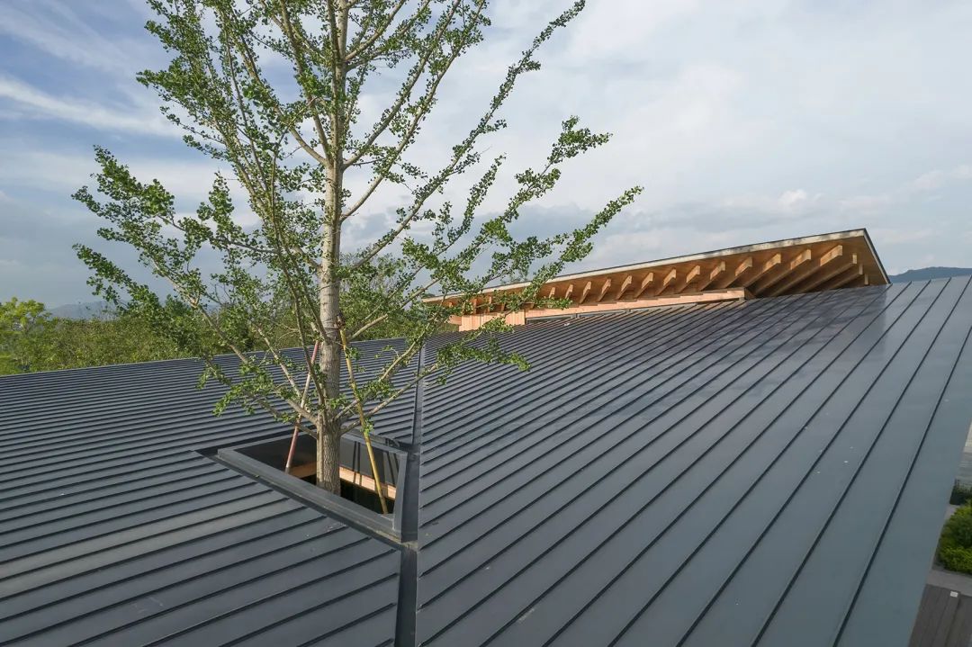 富阳·阳陂湖湿地公园南接待中心丨中国杭州丨尌林建筑设计事务所-71