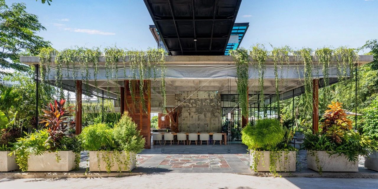Khoan   Partners丨废弃混凝土建筑，变身充满自然气息的热带咖啡馆兼餐厅-11