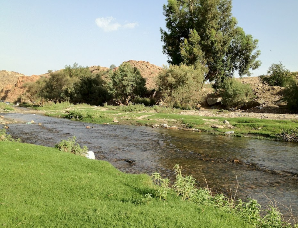 Saiysad 国家公园丨沙特阿拉伯丨LDG 土地设计集团-11