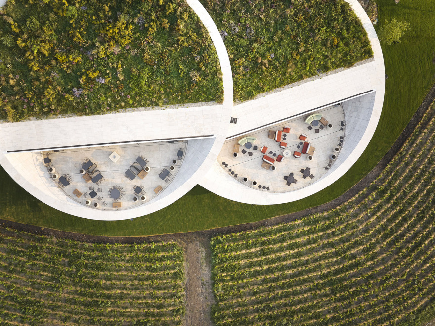 Sauska Tokaj酿酒厂,匈牙利 / BORD Architectural Studio-13