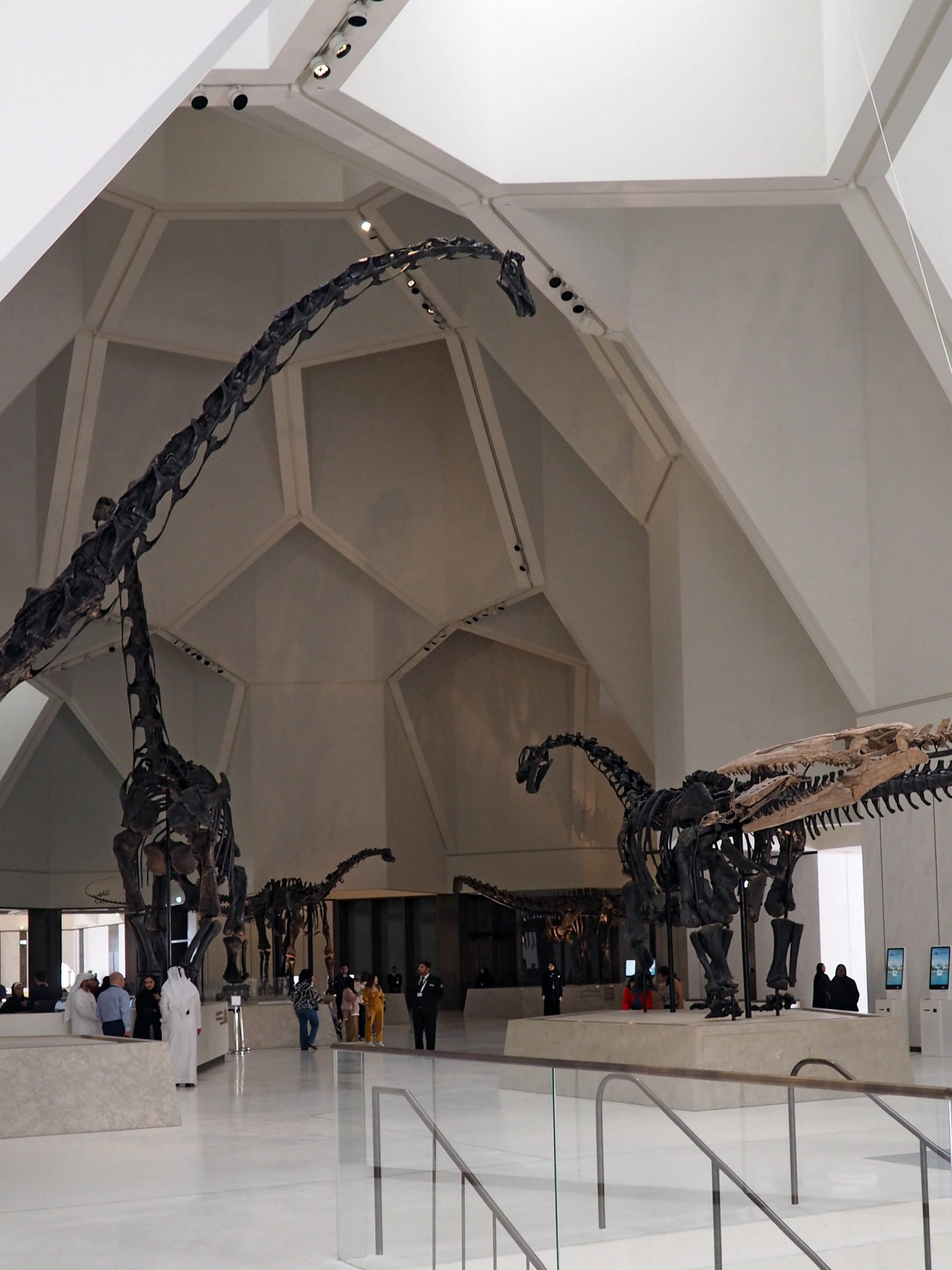阿布扎比自然历史博物馆丨阿联酋阿布扎比丨荷兰Mecanoo建筑工作室-19