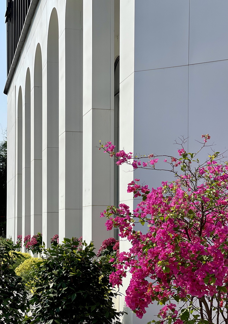 武汉光谷蜜糖镇生活美学馆丨中国武汉丨张文基-16