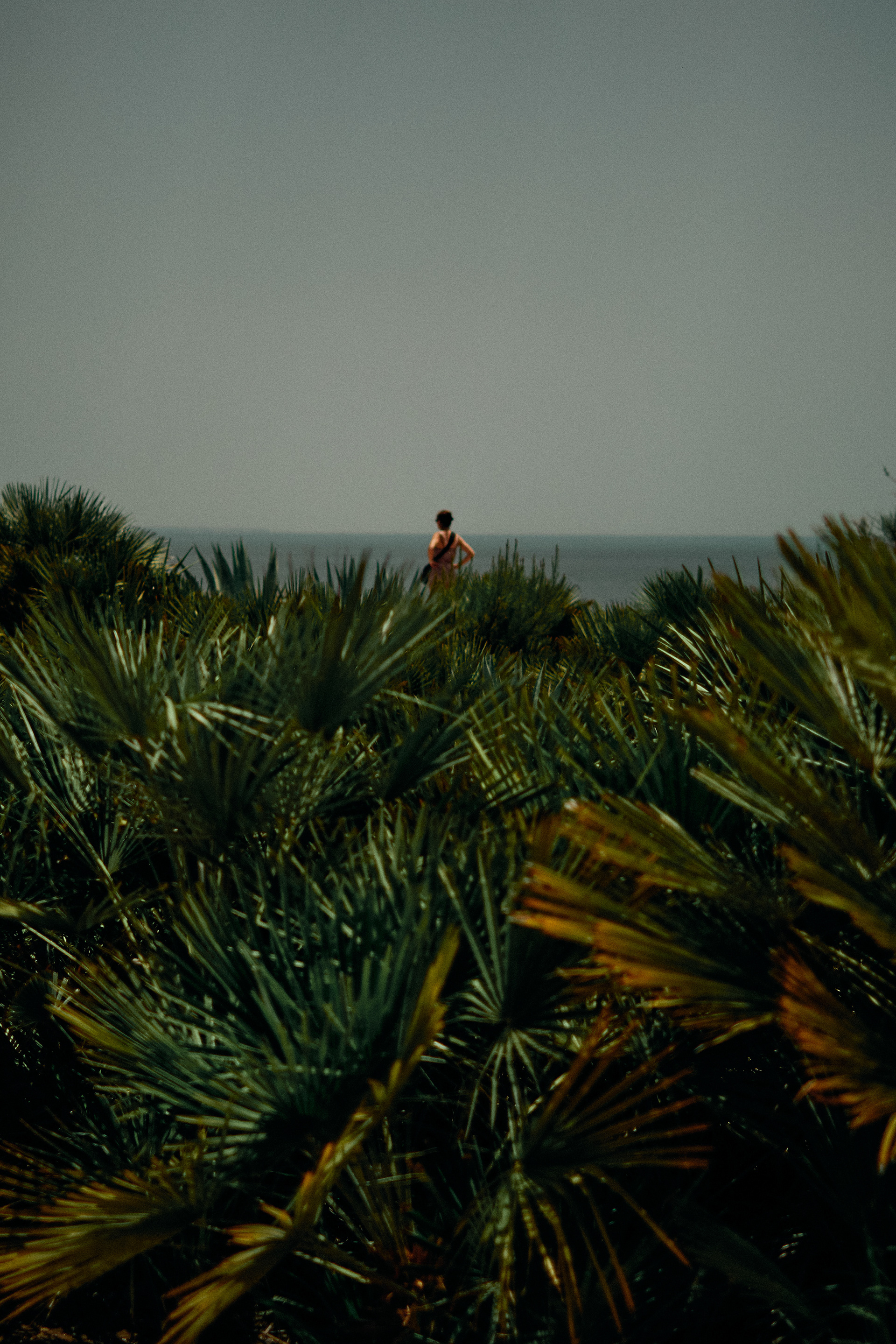 里斯本城市景观摄影丨葡萄牙里斯本-45