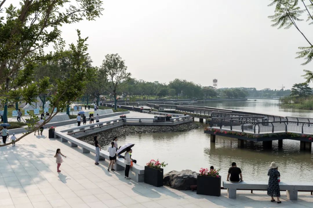 回归岭南水岸生活 | 东莞龙湾生态湿地公园-61