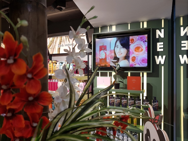 乌克兰 ISEI 美容店_自然氛围中的亚洲风格-35