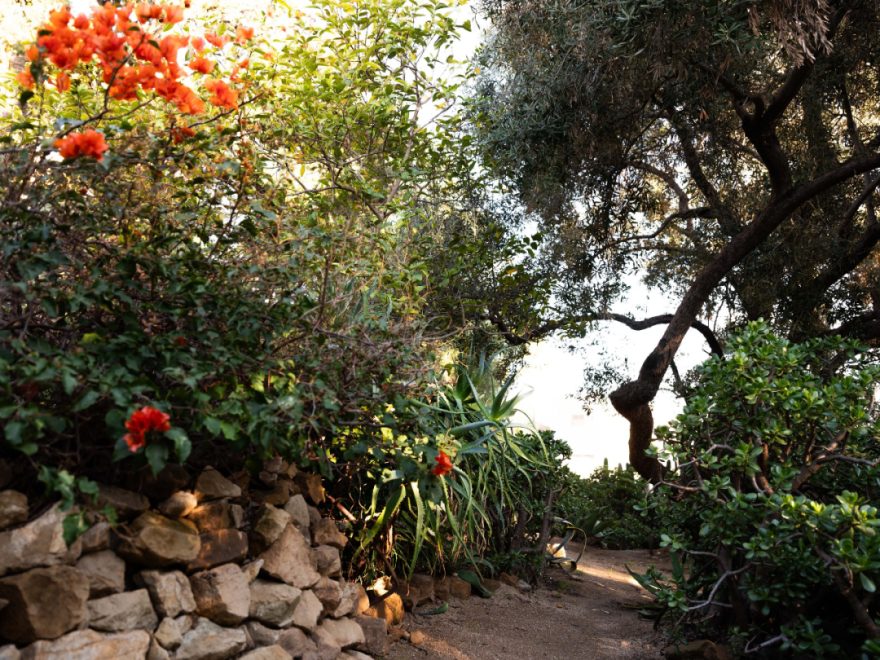 风之住宅(La Ventosa Residence)丨美国洛杉矶丨Patrick Bernatz Ward-81