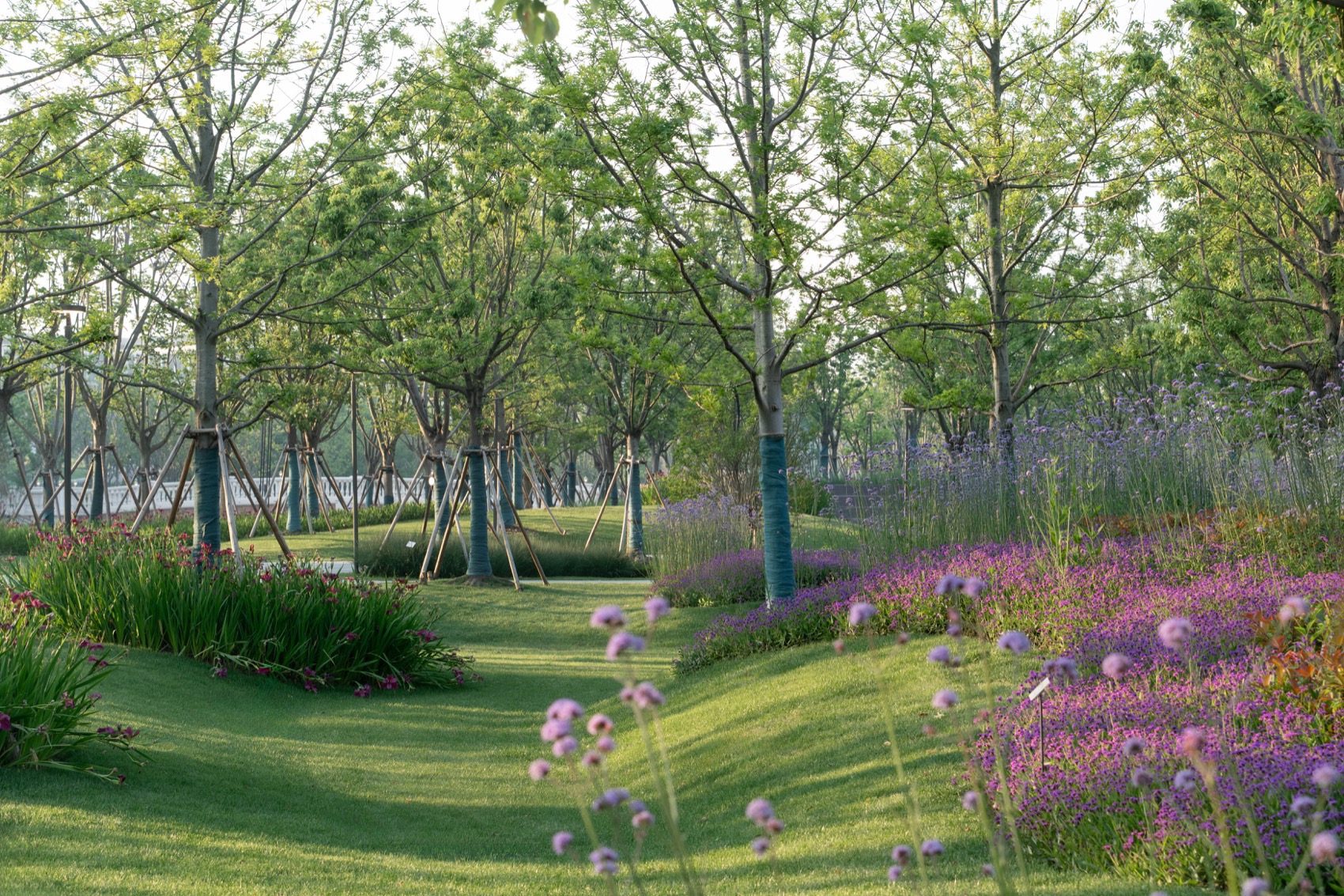 上海金泽镇培雅南路东侧绿地景观设计丨中国上海丨上海联创设计集团股份有限公司景观设计部-114