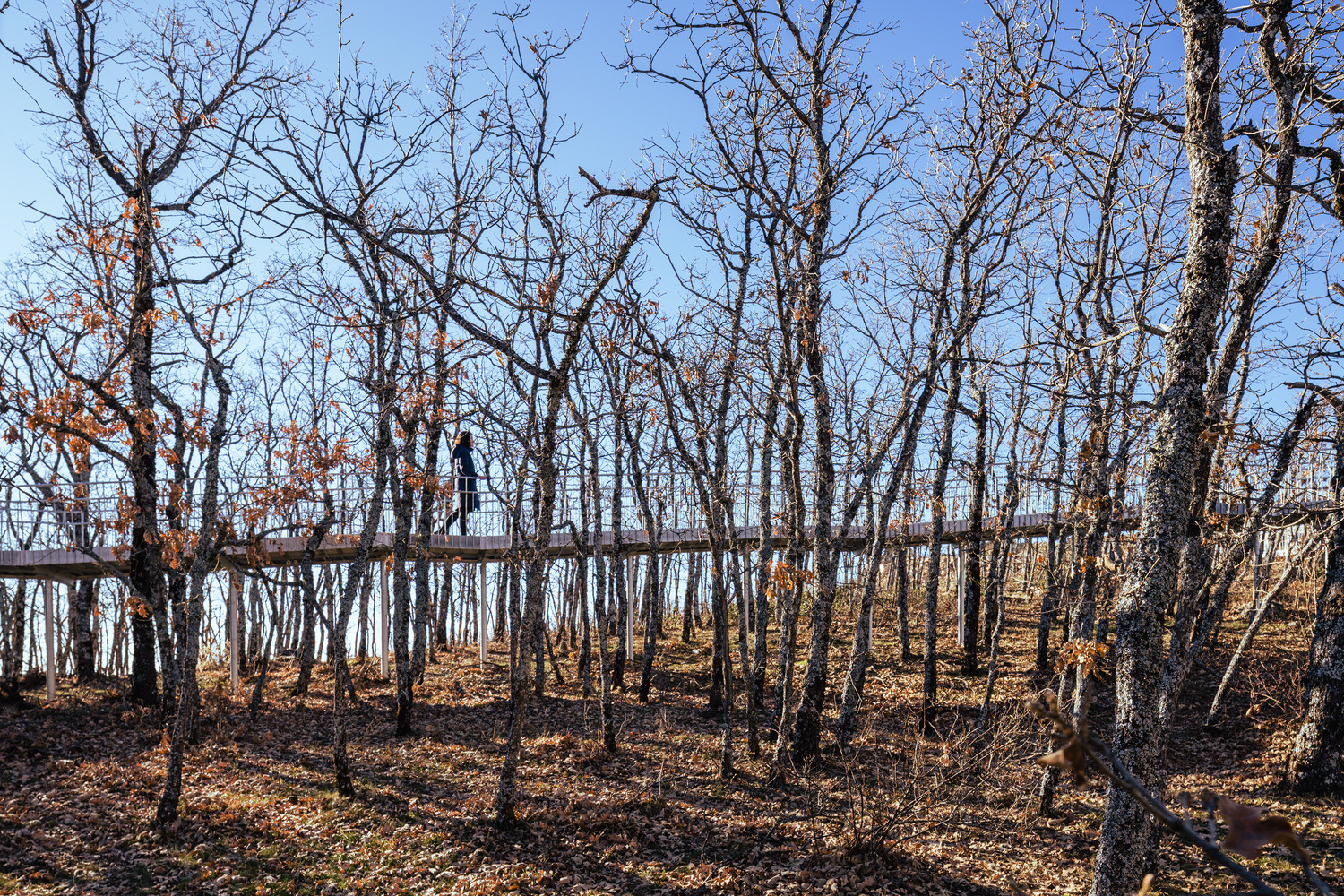Peñas Llanas 观景台改造丨西班牙卡斯蒂利亚丨Lopez Lopez-10