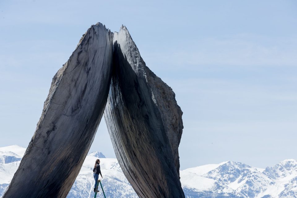 Tippet Rise 艺术中心-24