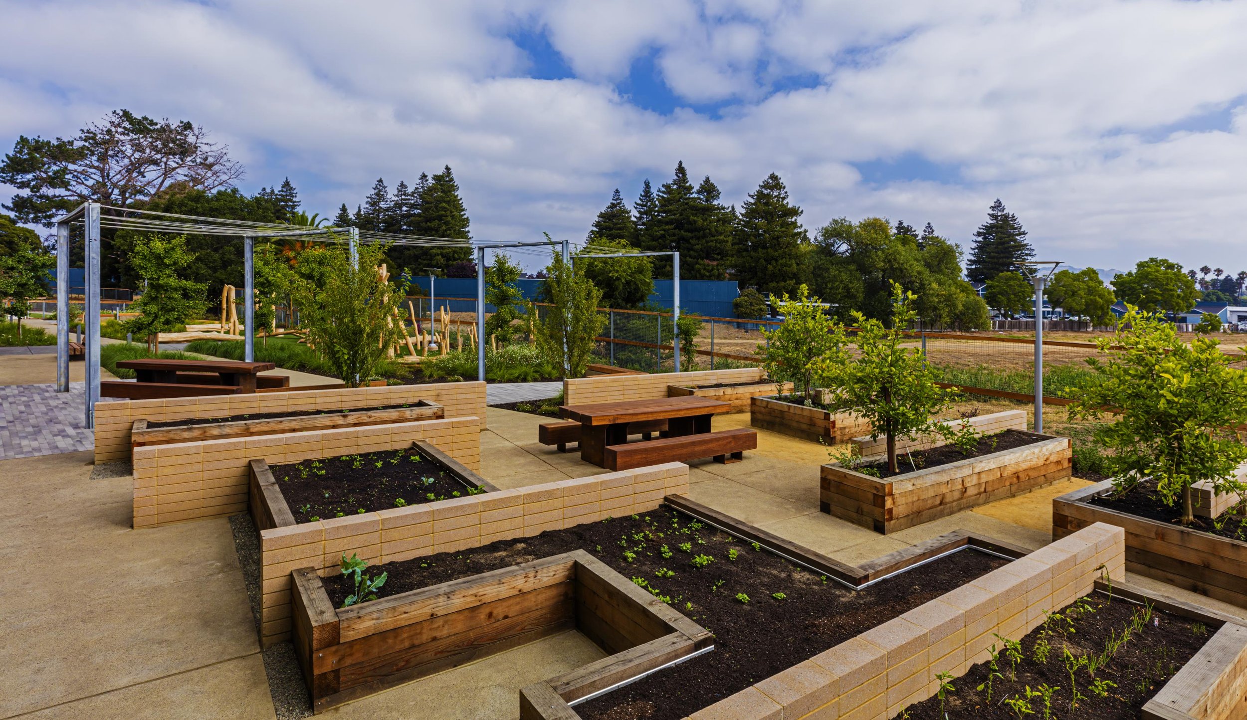 Blue Oak Landing — Fletcher Studio-46