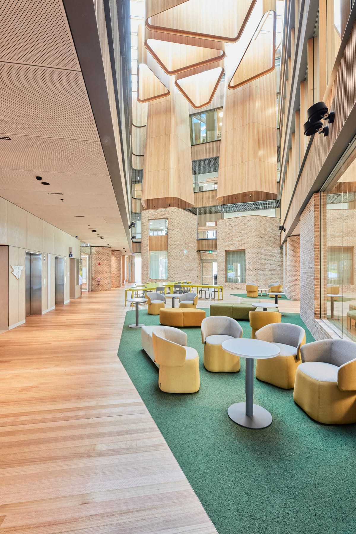 Tasmanian Timber Series: River's Edge-0