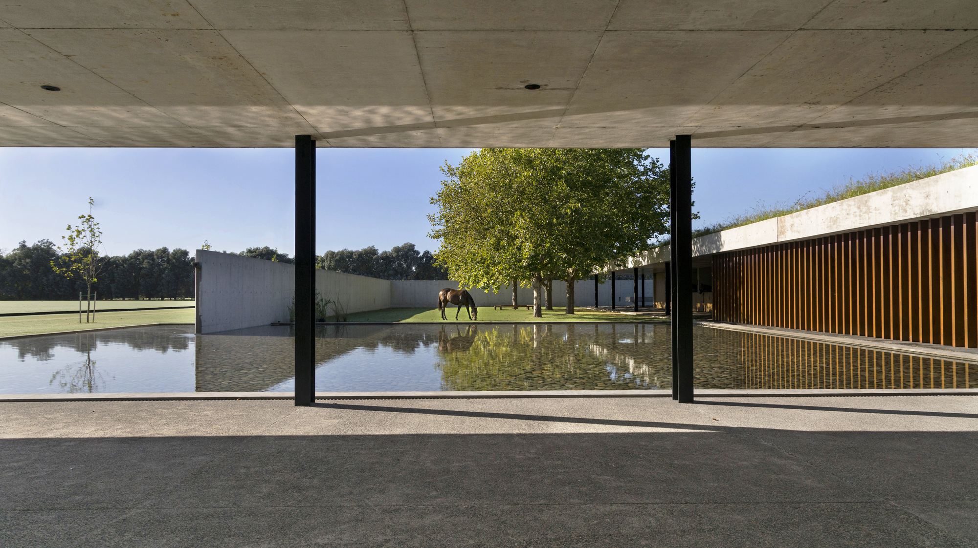 菲格拉斯马球马厩-43