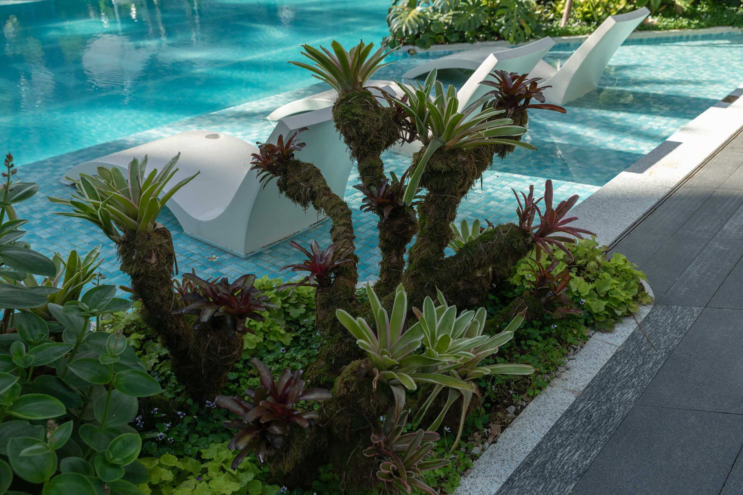 绿城滨江·潮闻东方丨中国江门丨广亩景观-58