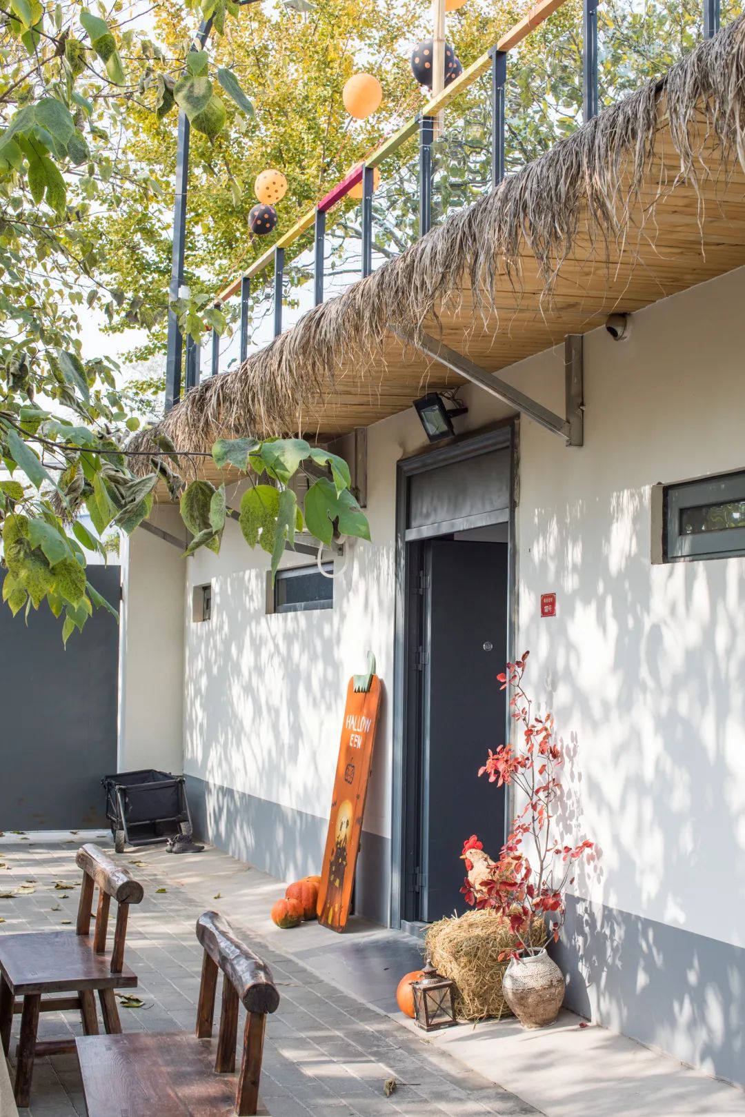 树林中的神仙小院 · 摄影师夫妻 10 万元爆改租住房丨中国北京-15