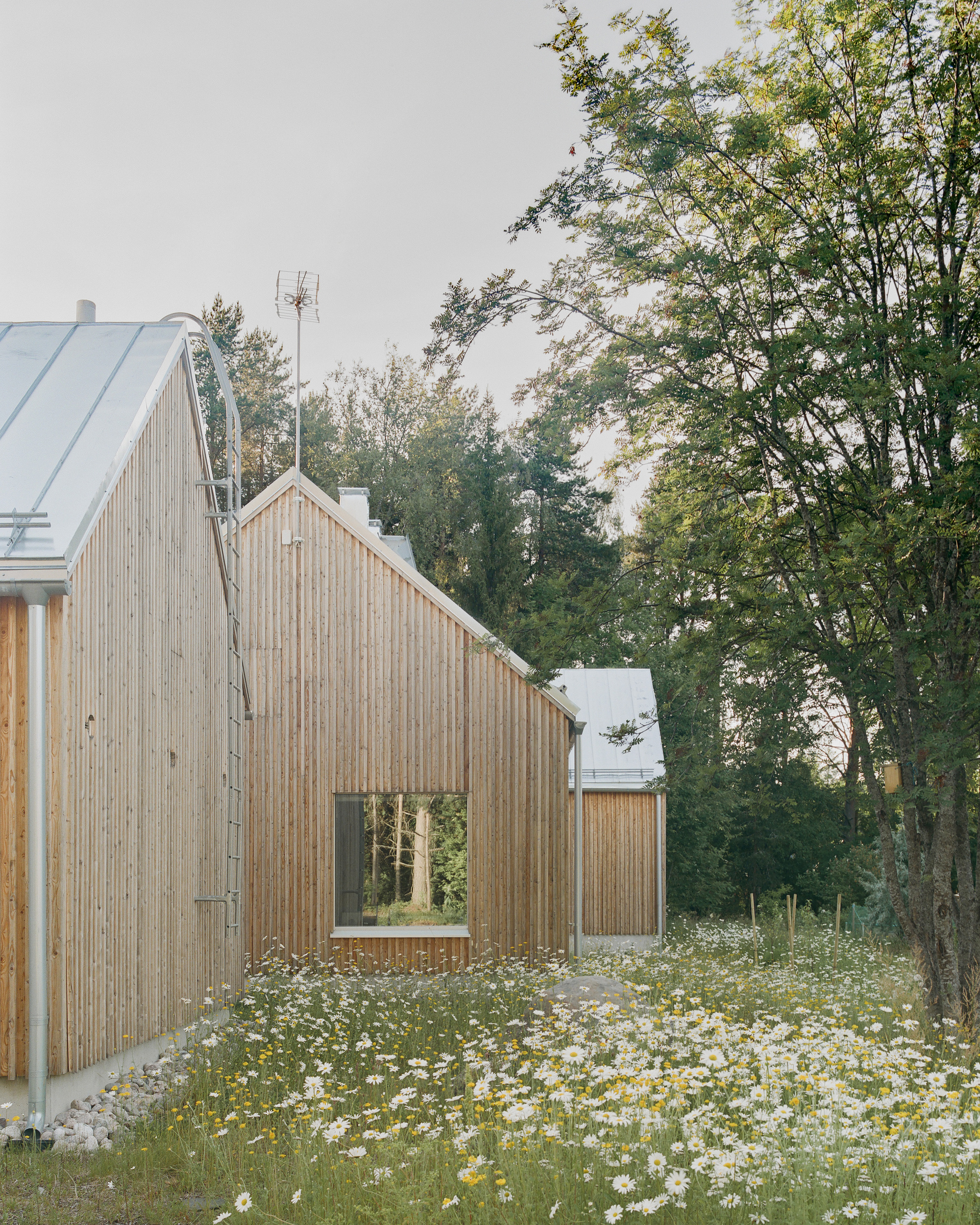 梅里波蒂家族丨芬兰奥卢丨LUO Architects-9
