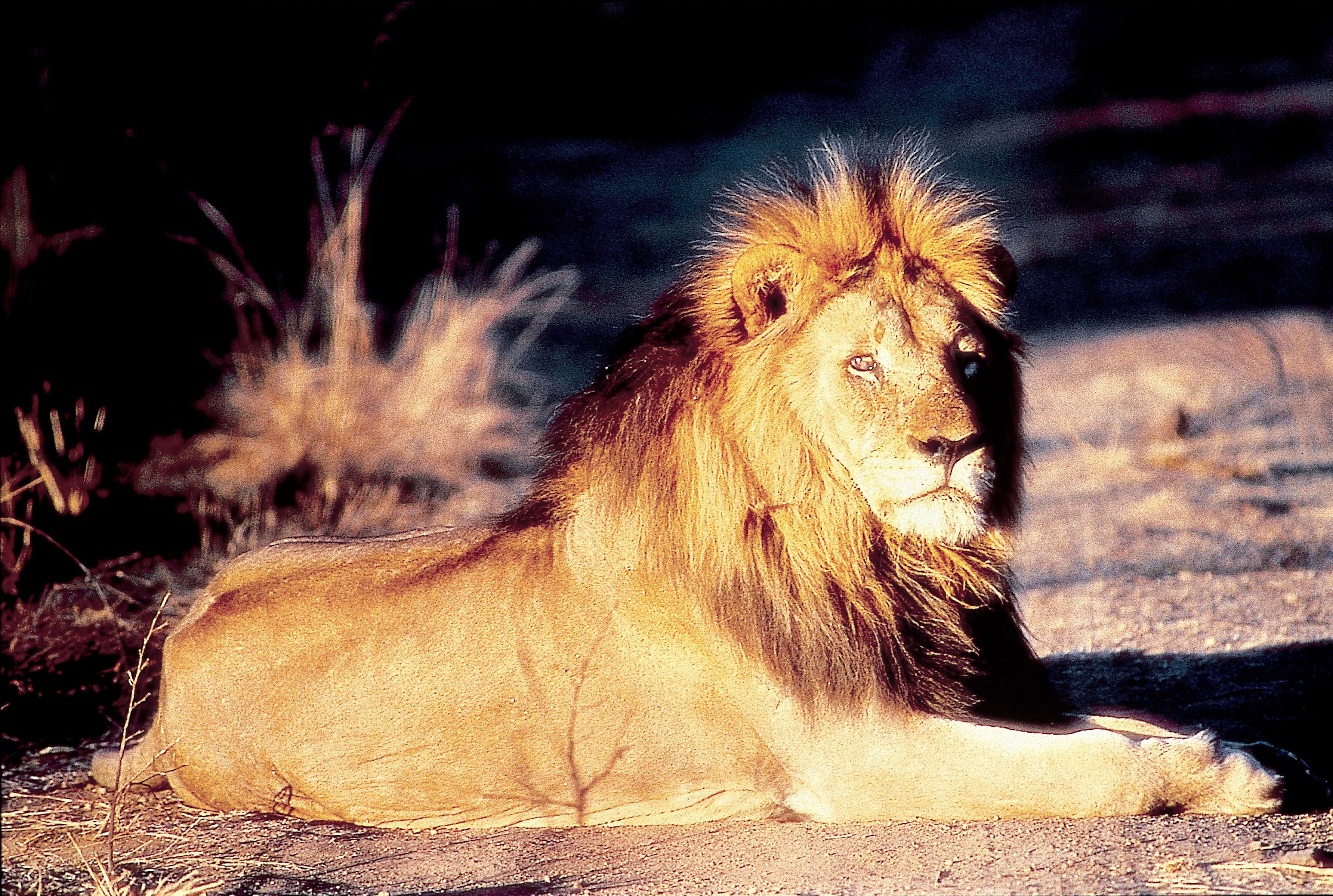 The Palace of Lost City at Sun City（南非，太阳城）-49