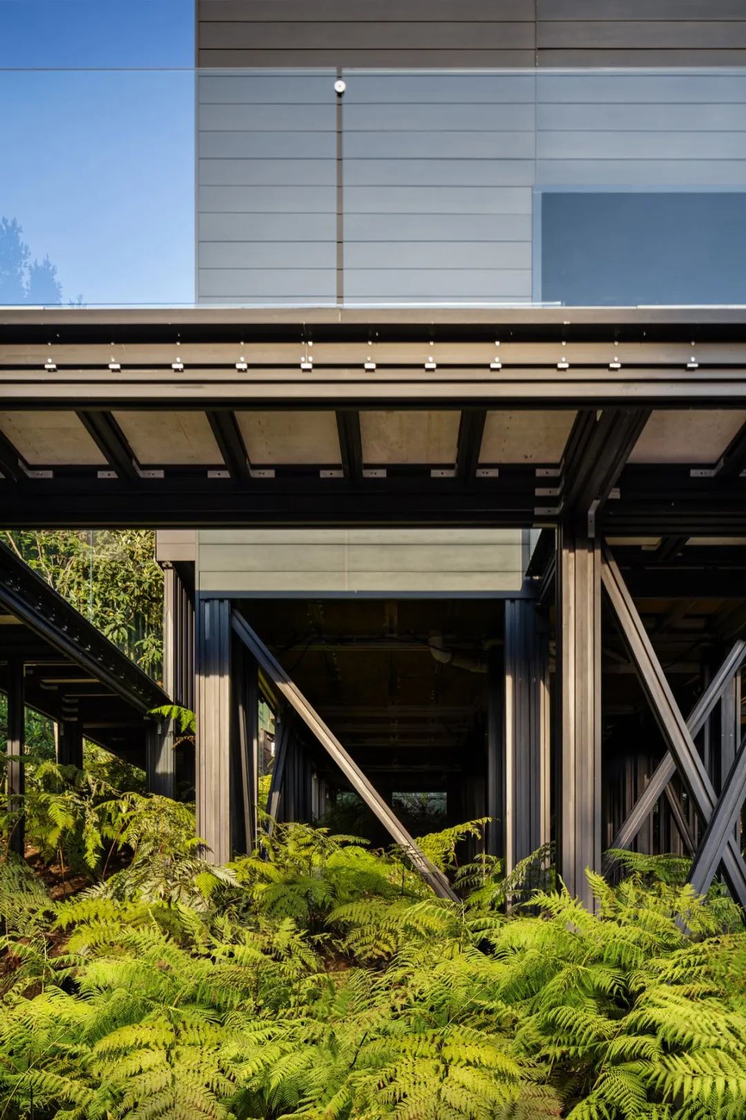 510 Arkell 住宅丨美国洛杉矶丨Taller Aragones-79