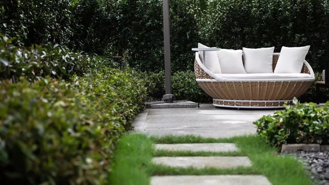 梦寻太湖畔,蝶舞雁栖湖-149