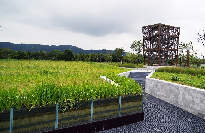 台州鉴洋湖湿地公园首启区景观设计丨中国台州丨AECOM-54