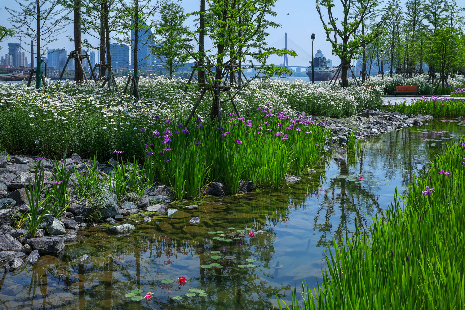 上海船厂滨江公园-23