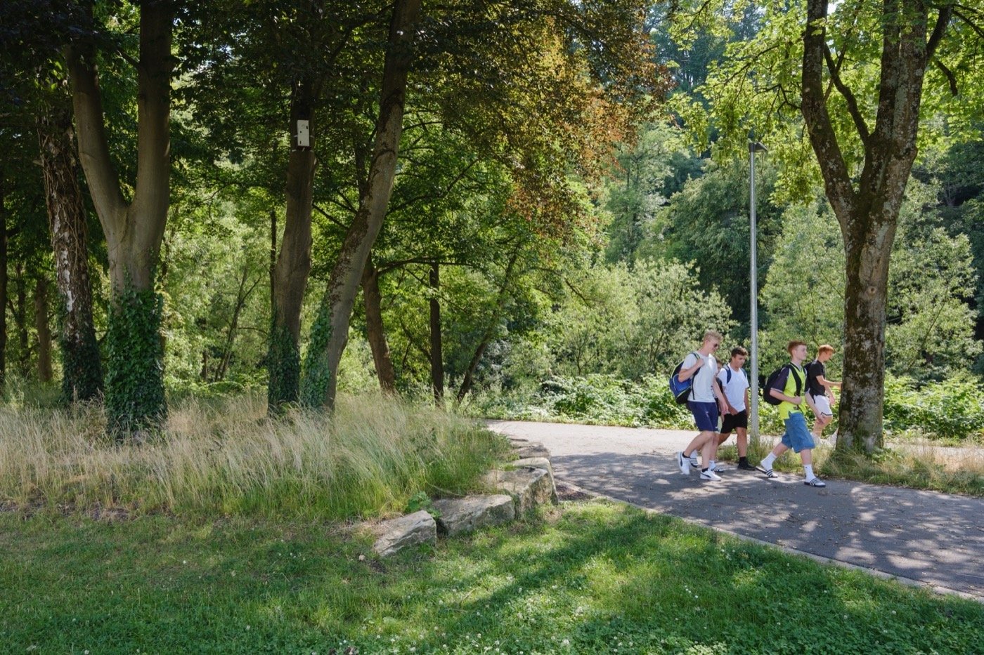 德国 Am Eichholz 校园景观-10