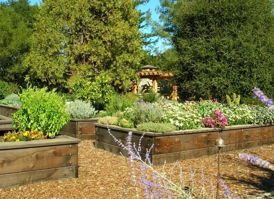 庭院花境中的土壤覆盖物设计与应用-36