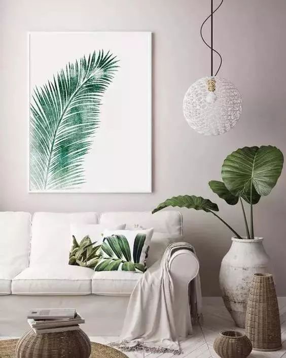 绿色植物装饰画,为家增添自然清新之美-9