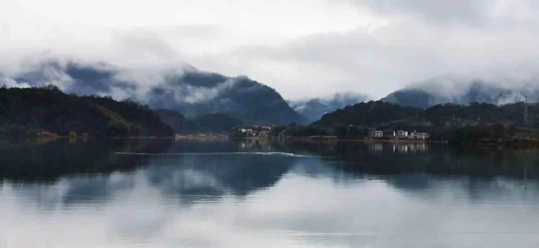 《桃花源记》现实版 | 星空、田园犬与他们的树林餐厅-8