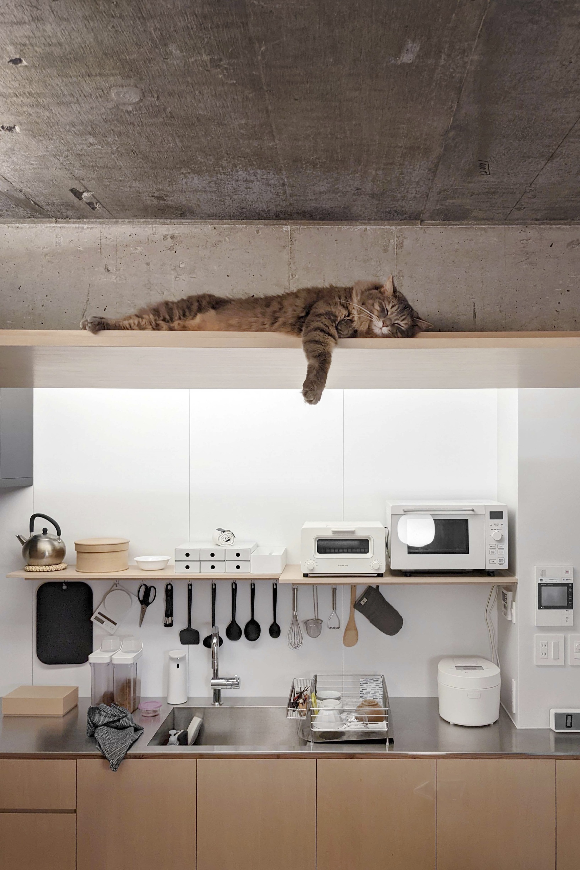 博科之家丨日本丨Hiroyasu Imai-19