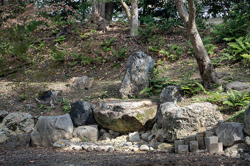 近衞邸跡池泉庭園丨日本京都-21