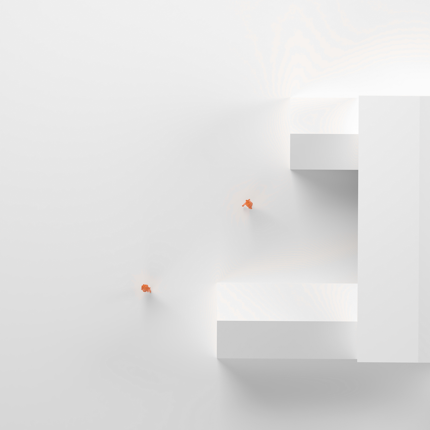 House CM / AtelierM + Nicolas Krause-50