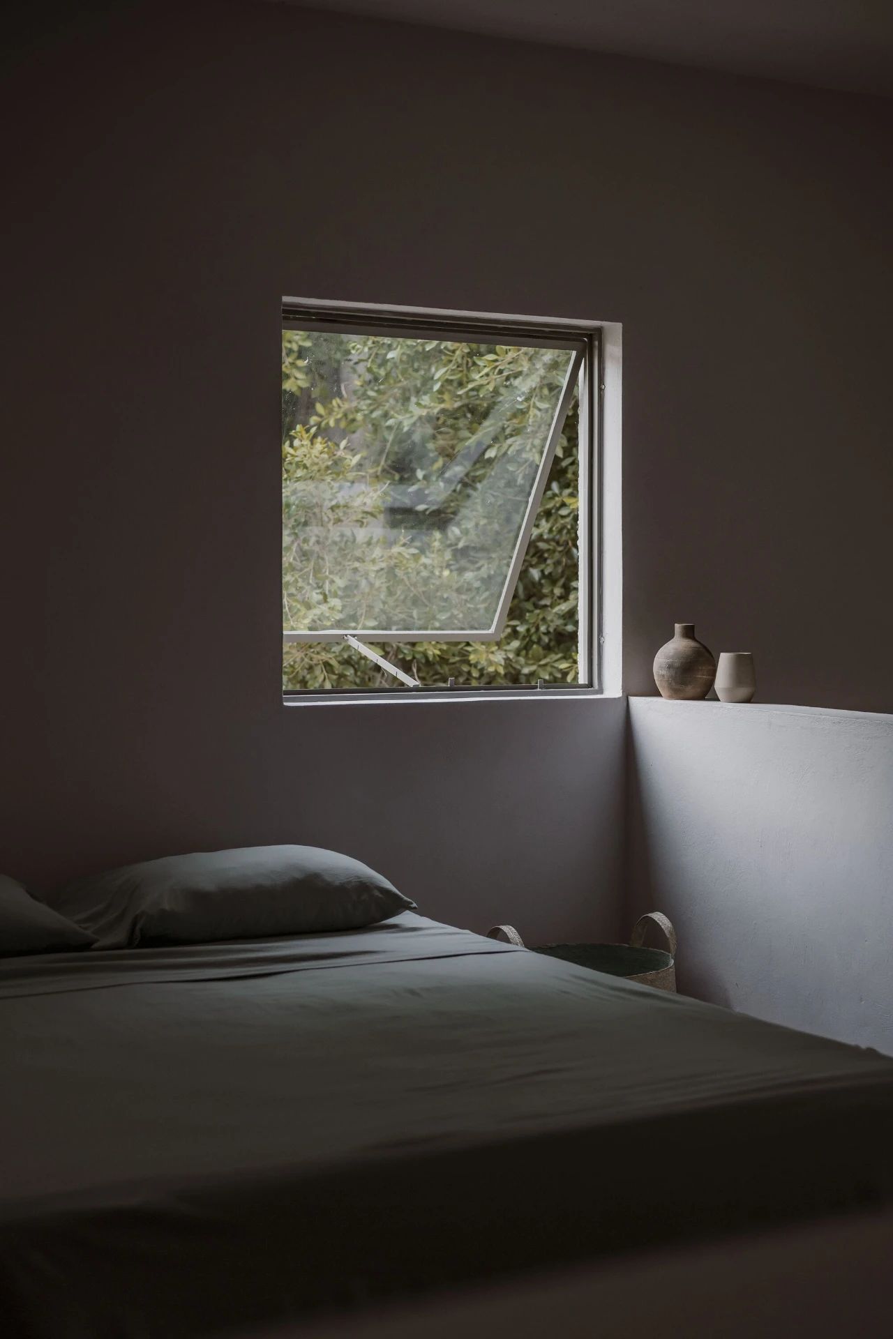 蕨类植物丨墨西哥丨Taller Hector Barroso-45