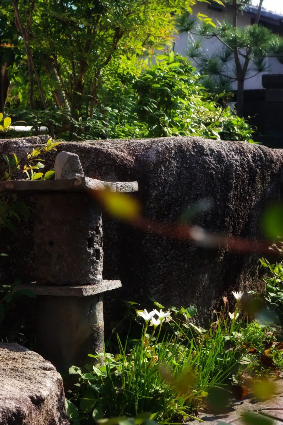 未明确提及丨日本福冈-4