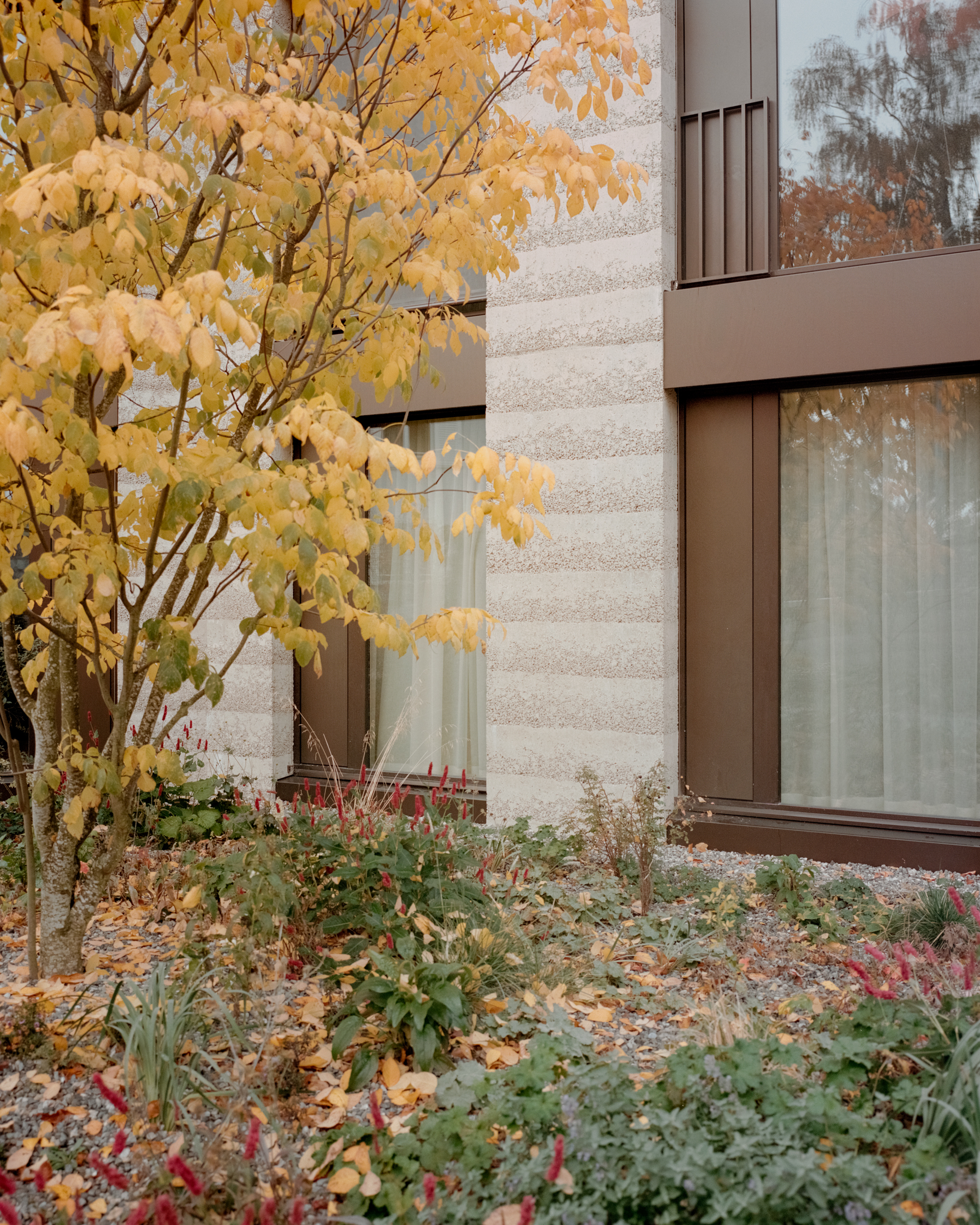 克罗斯宅邸丨瑞士丨Think Architecture-25