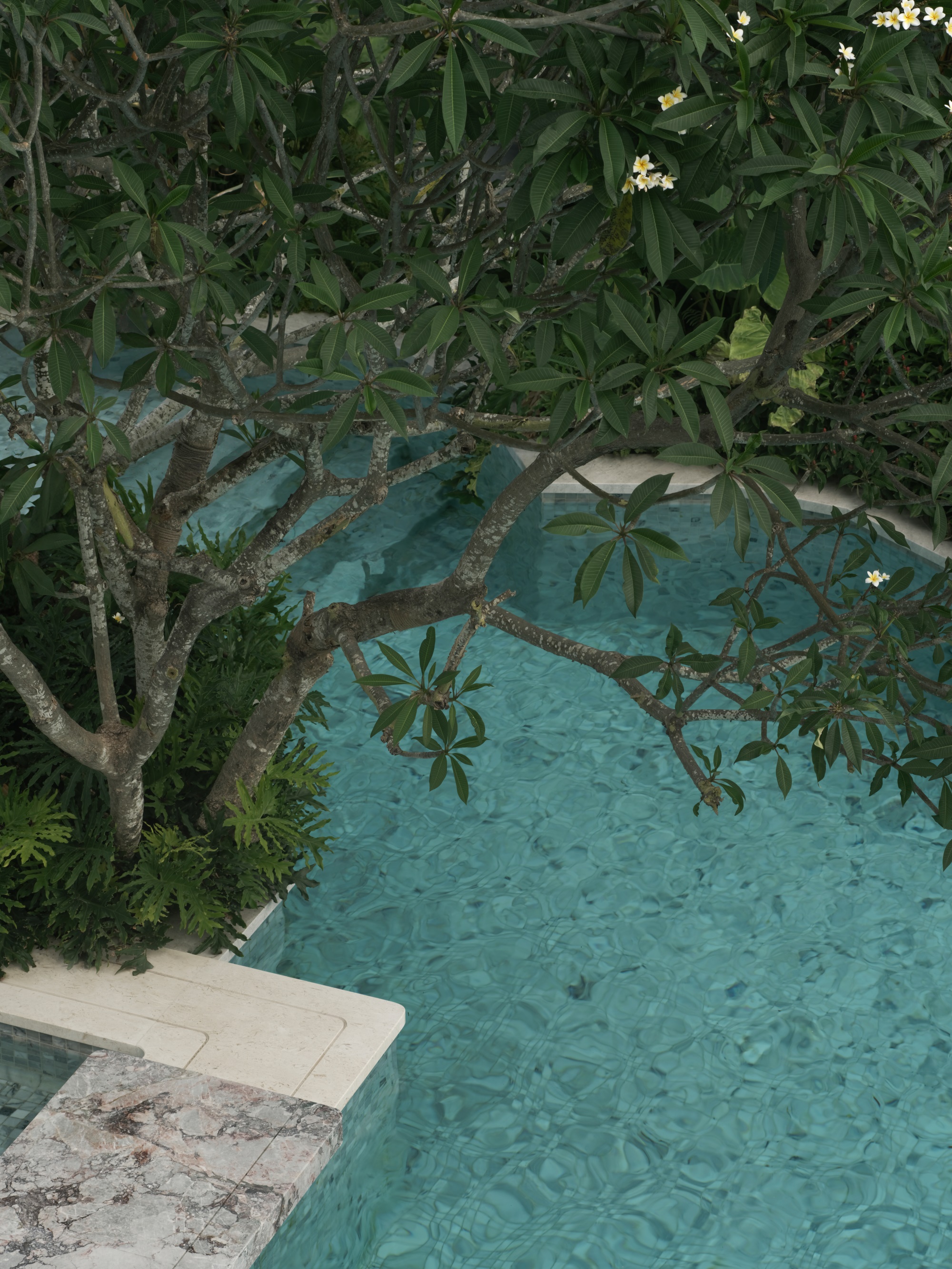 三亚招商·林屿间丨中国三亚丨成都麦微景观建筑事务所-114