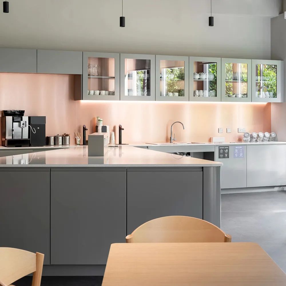 爱尔兰制药公司办公空间-26