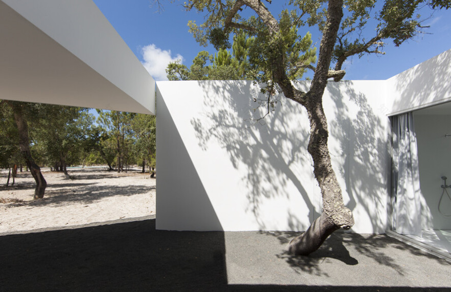 葡萄牙阿莲特如海岸的树屋奇观-15