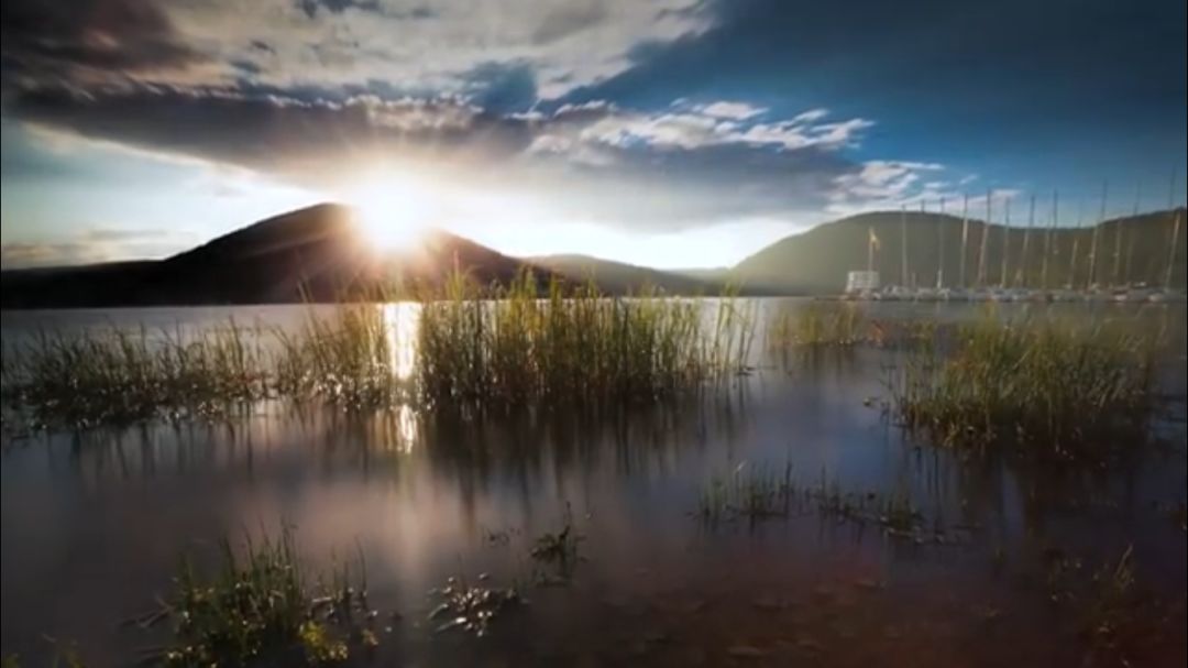 无尽景观住宅 | 时境参与的德国别墅集群设计-21