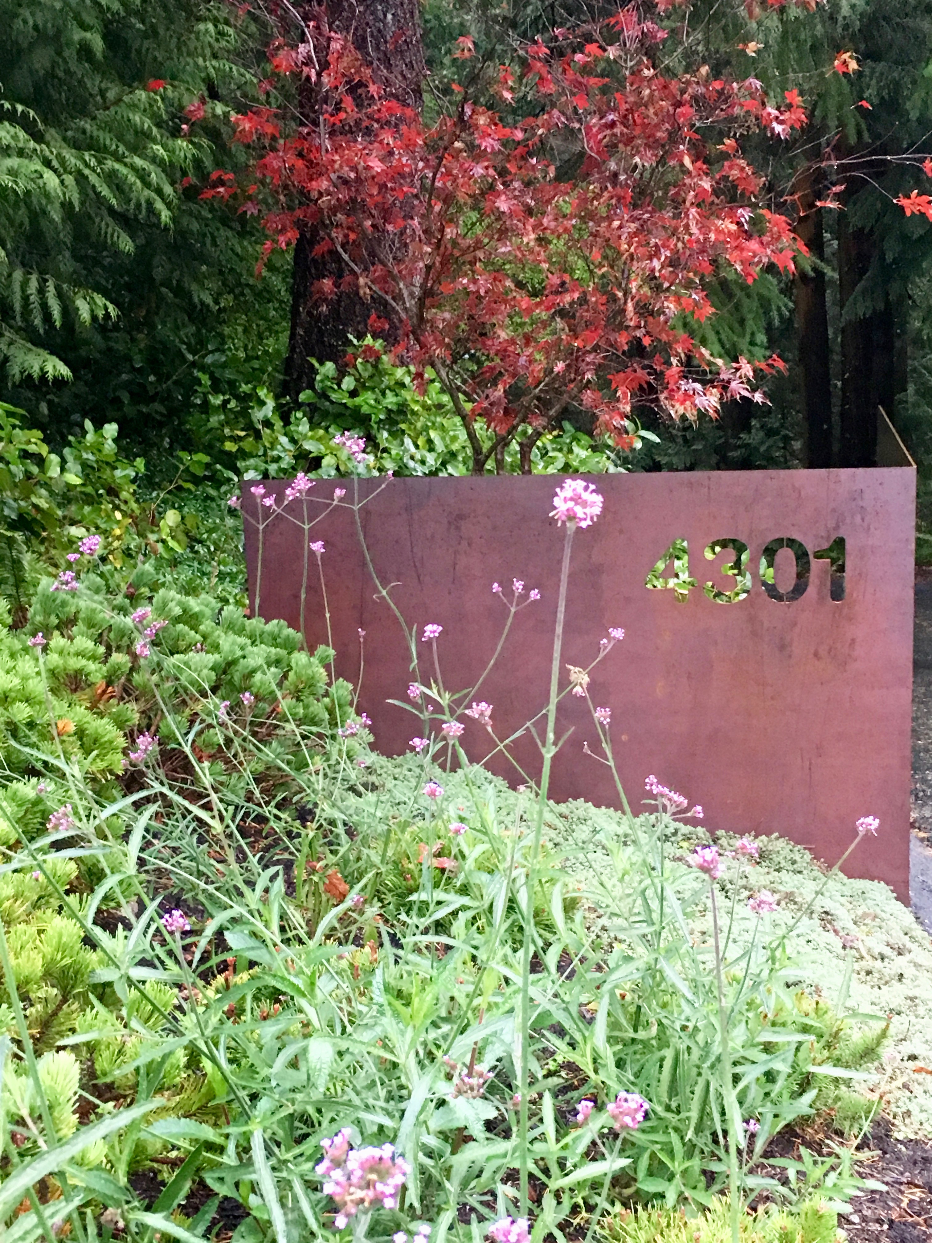 柏树瀑布住宅-1