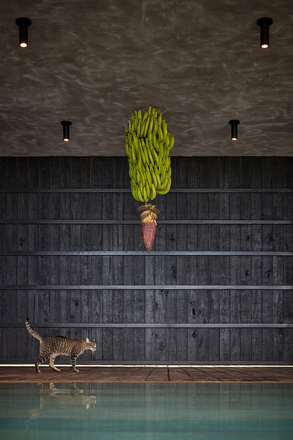 哥斯达黎加Atelier别墅-49